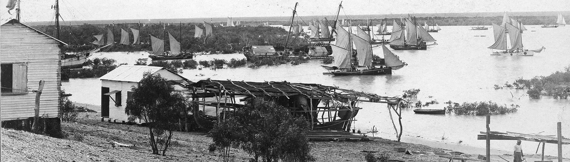 Lugger fleet heading to the pearling grounds