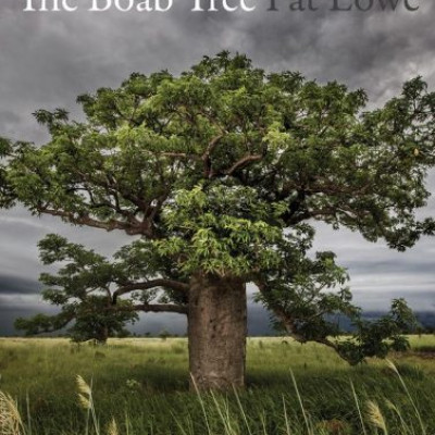 The Boab Tree