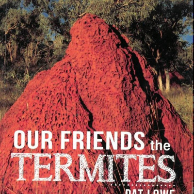 Our Friends the Termites